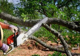 Best Hazardous Tree Removal  in Georgiana, AL